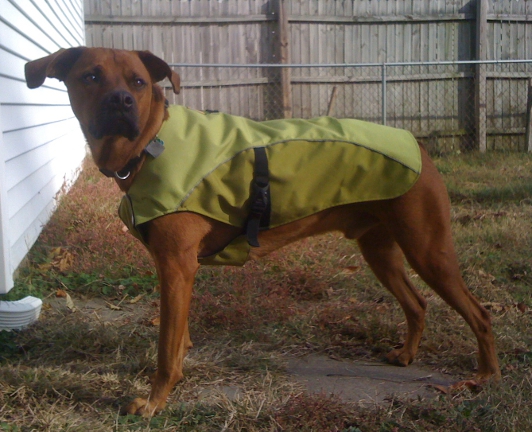 k9 overcoat
